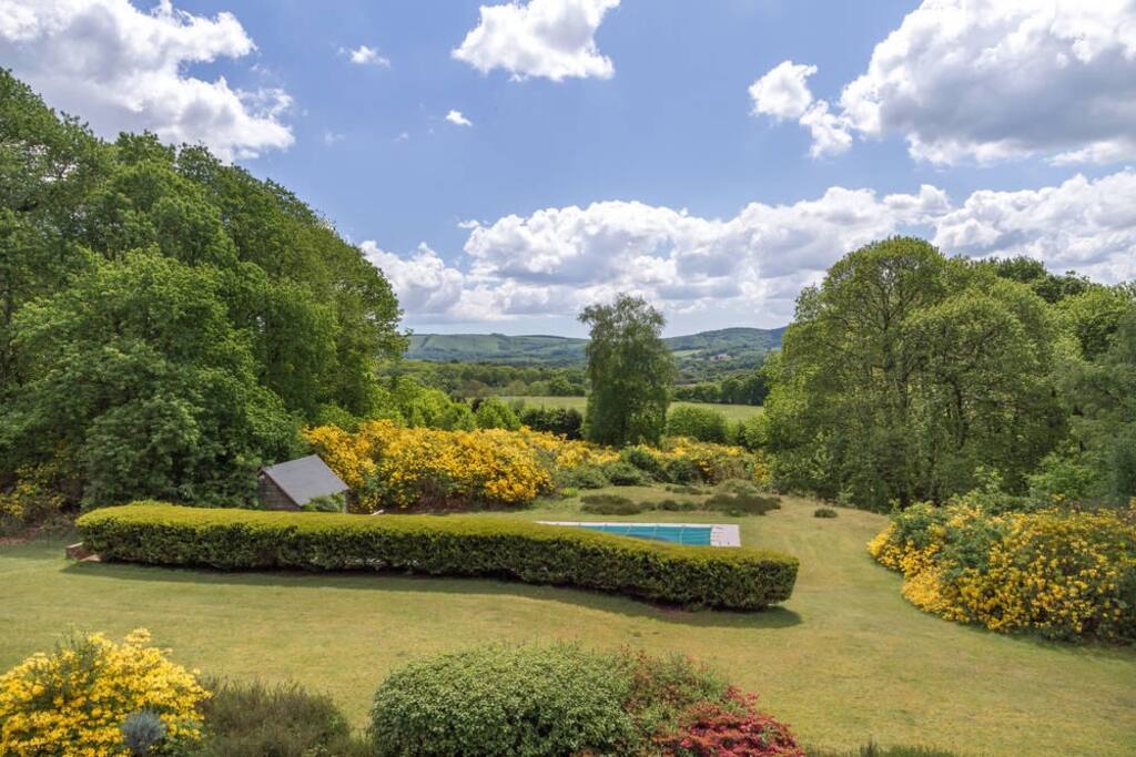 The front gardens