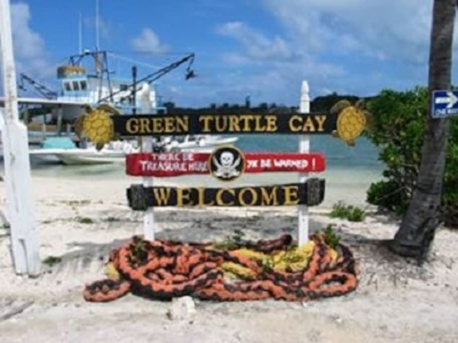 Welcome to Green Turtle Cay!