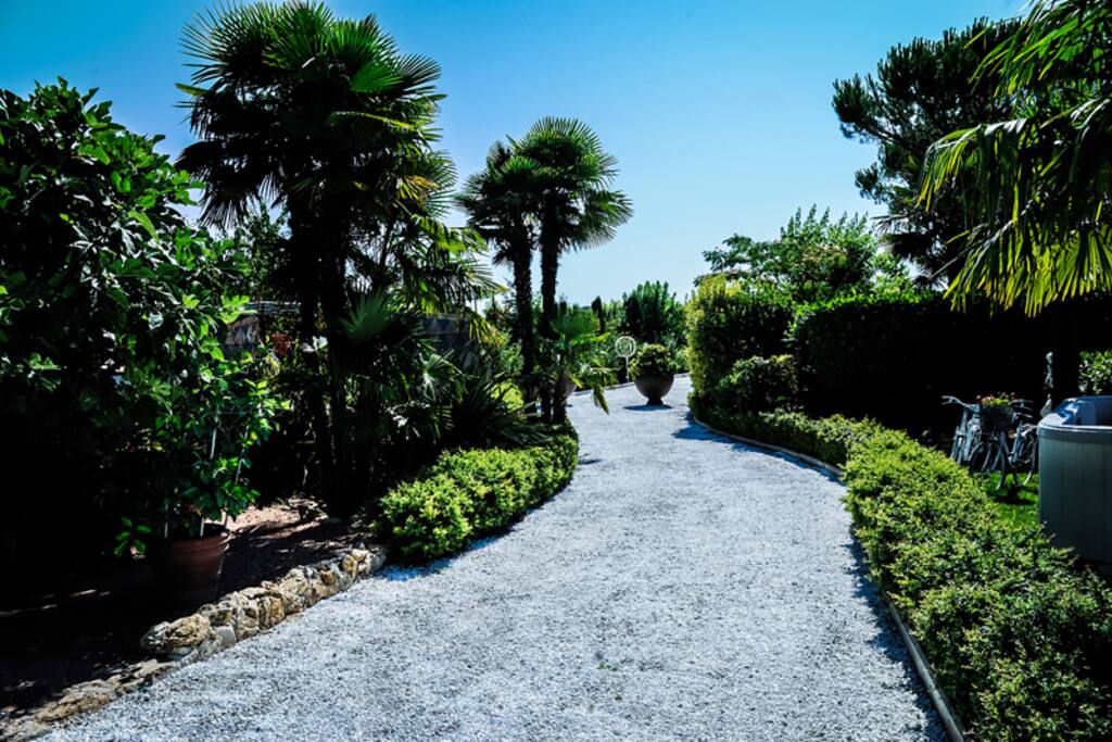 Il Viale di accesso