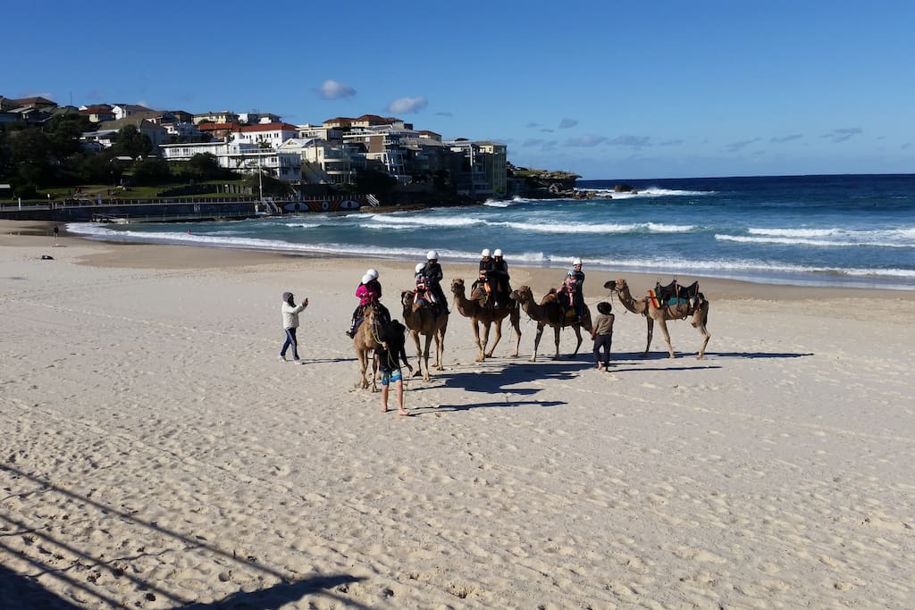 Winter in Bondi