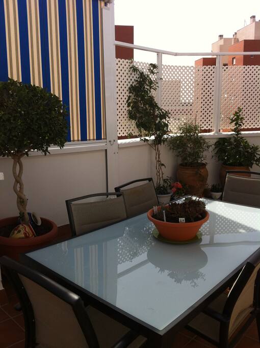 Terraza