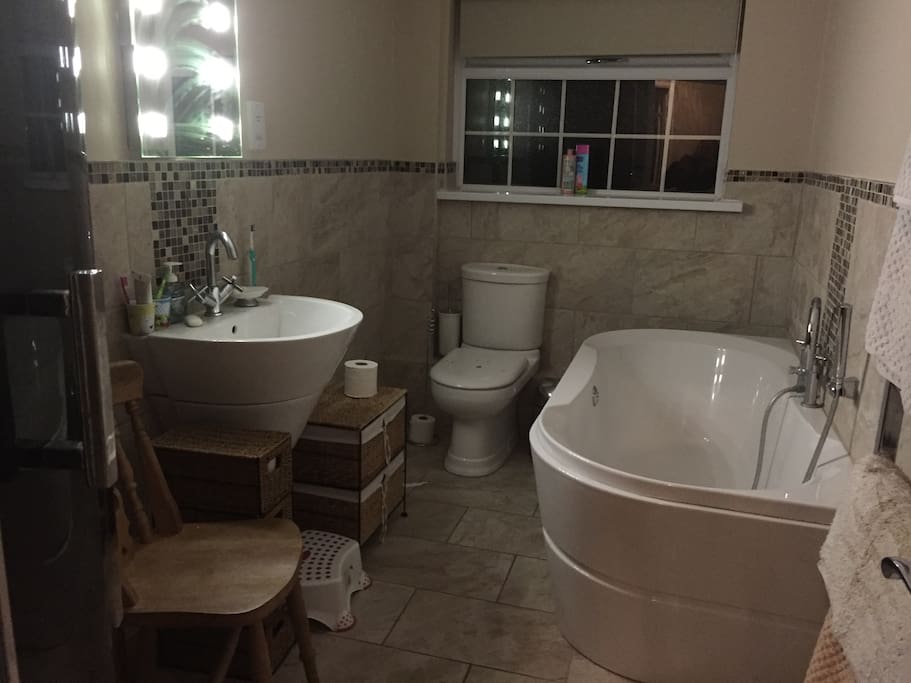 The Guest Shower and Bathroom on the ground floor.