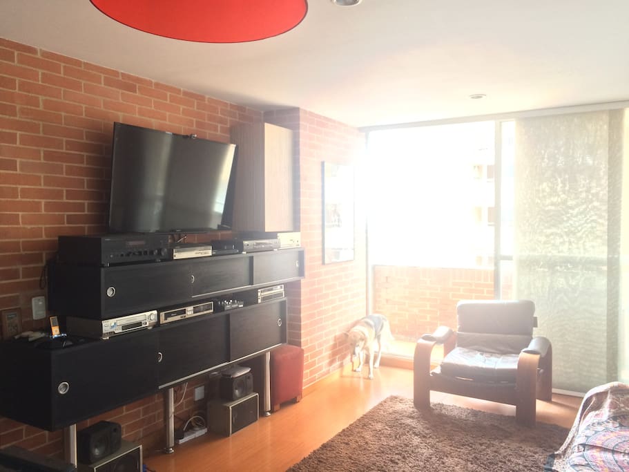 Entertainment Center / Living Room