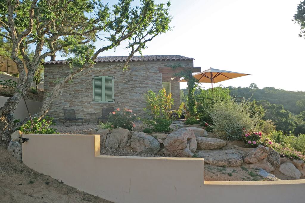 The landscaped rock garden under the oak tree (le jardin de rocaille aménagé sous le chêne)
