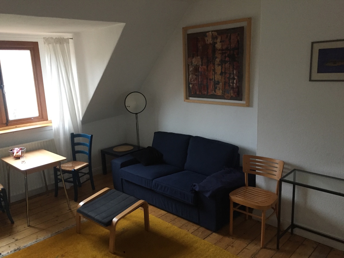 Popular Airbnb listing: Studio near trade fair/train station/Bürgerpark 29 sqm in Findorff