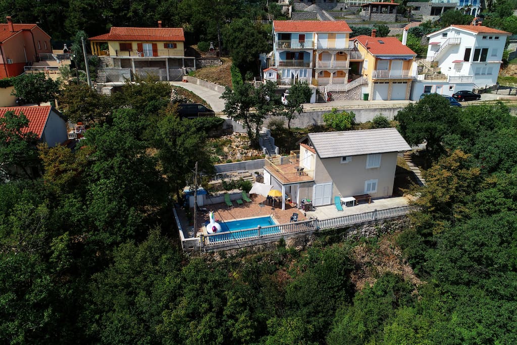 Sea gull looking over at both houses. The pool house and panorama house.