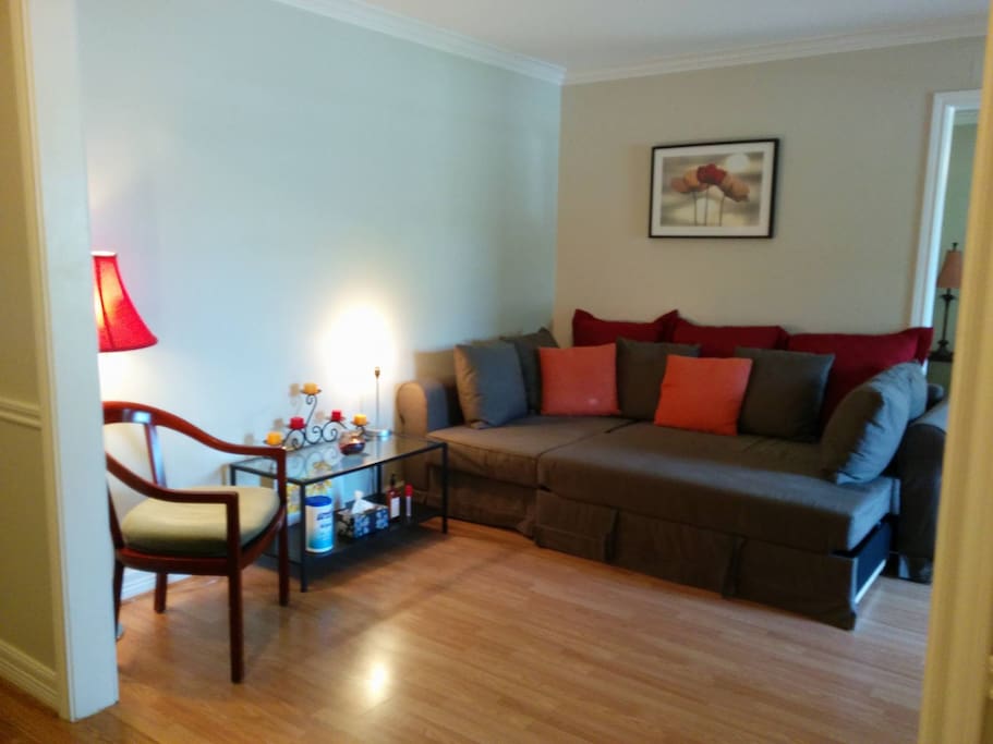 Your Guest Room with comfy pullout sofa bed, desk for workspace (Also my home office)