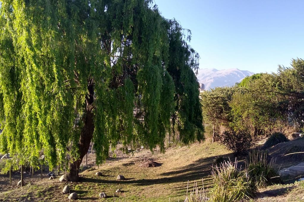 vista del jardin de la casa hacia el rio