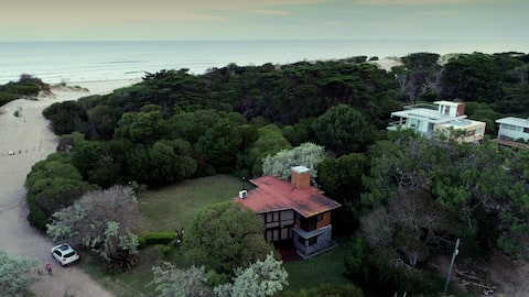 Great sea fence, surrounded by forest.