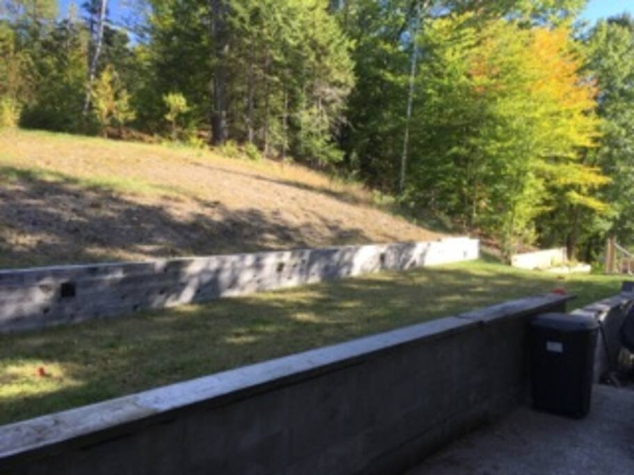 Bocci Court behind house