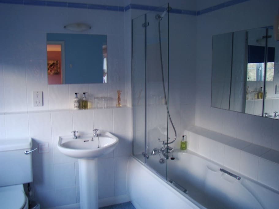 En-suite Bath with Shower over