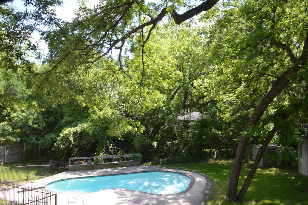 back yard with pool