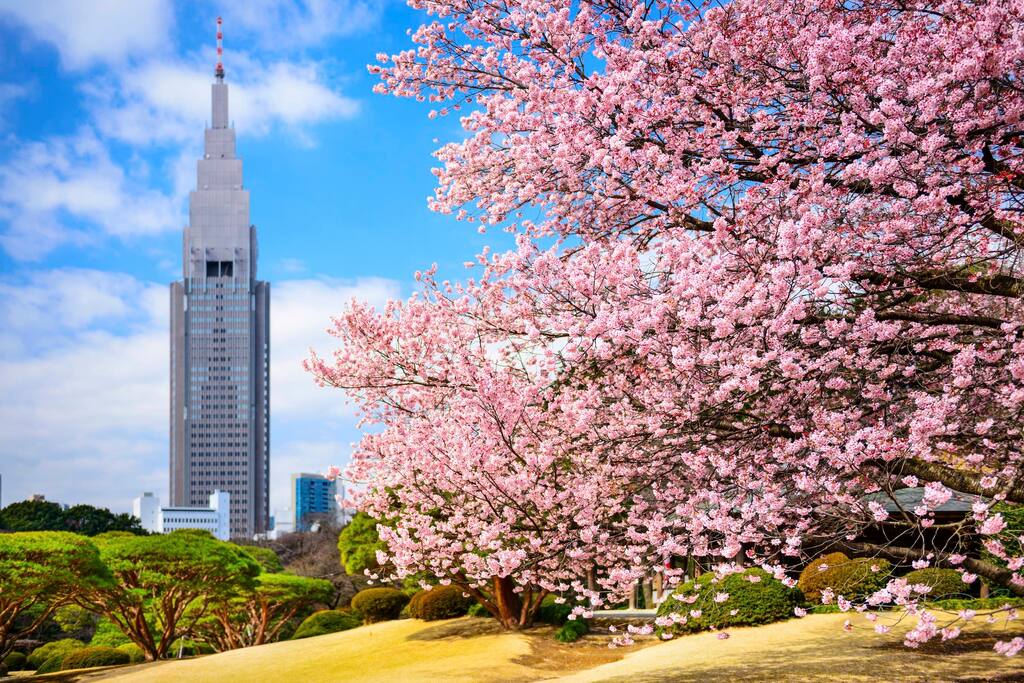 Shinjuku Gyoen National Garden within walking distance!