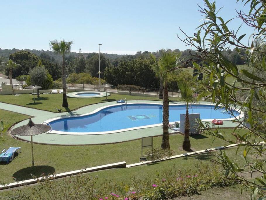 Beautiful Pool