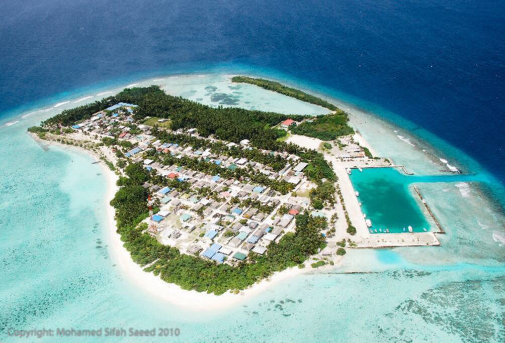 The island