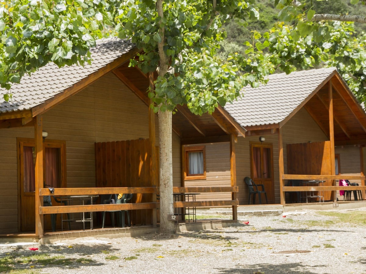Two wooden bungalows are lined up, featuring sloped roofs and front porches with seating. Surrounding greenery provides shade, with trees casting dappled light on the gravel path. Each bungalow has a front window and an entrance, creating a welcoming appearance in a natural setting.