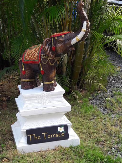 Alphonse ( our elephant) welcome drive entrance