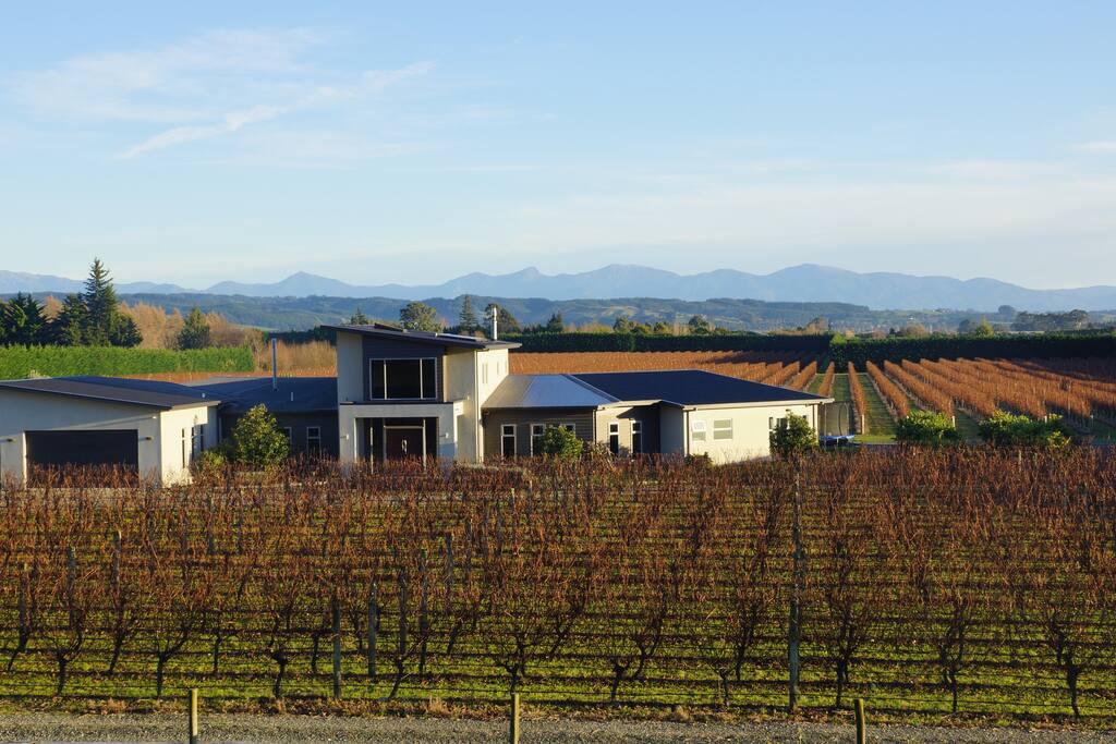 Vineyard Setting