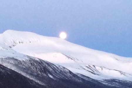 Fantastisk utsikt på sjøkanten