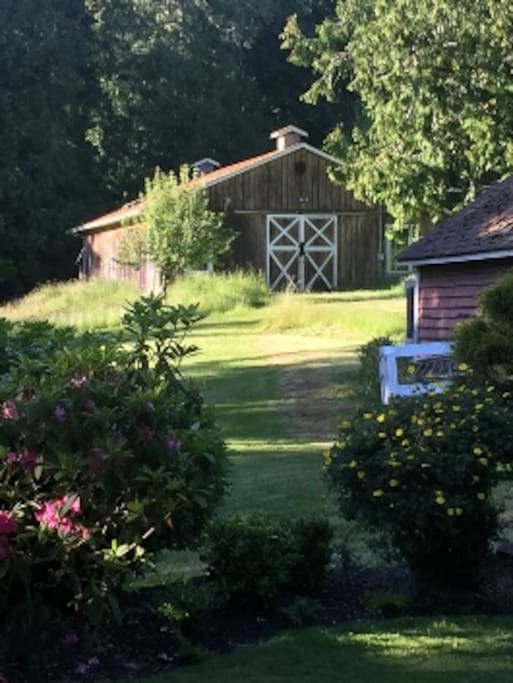 A view of the barn ...