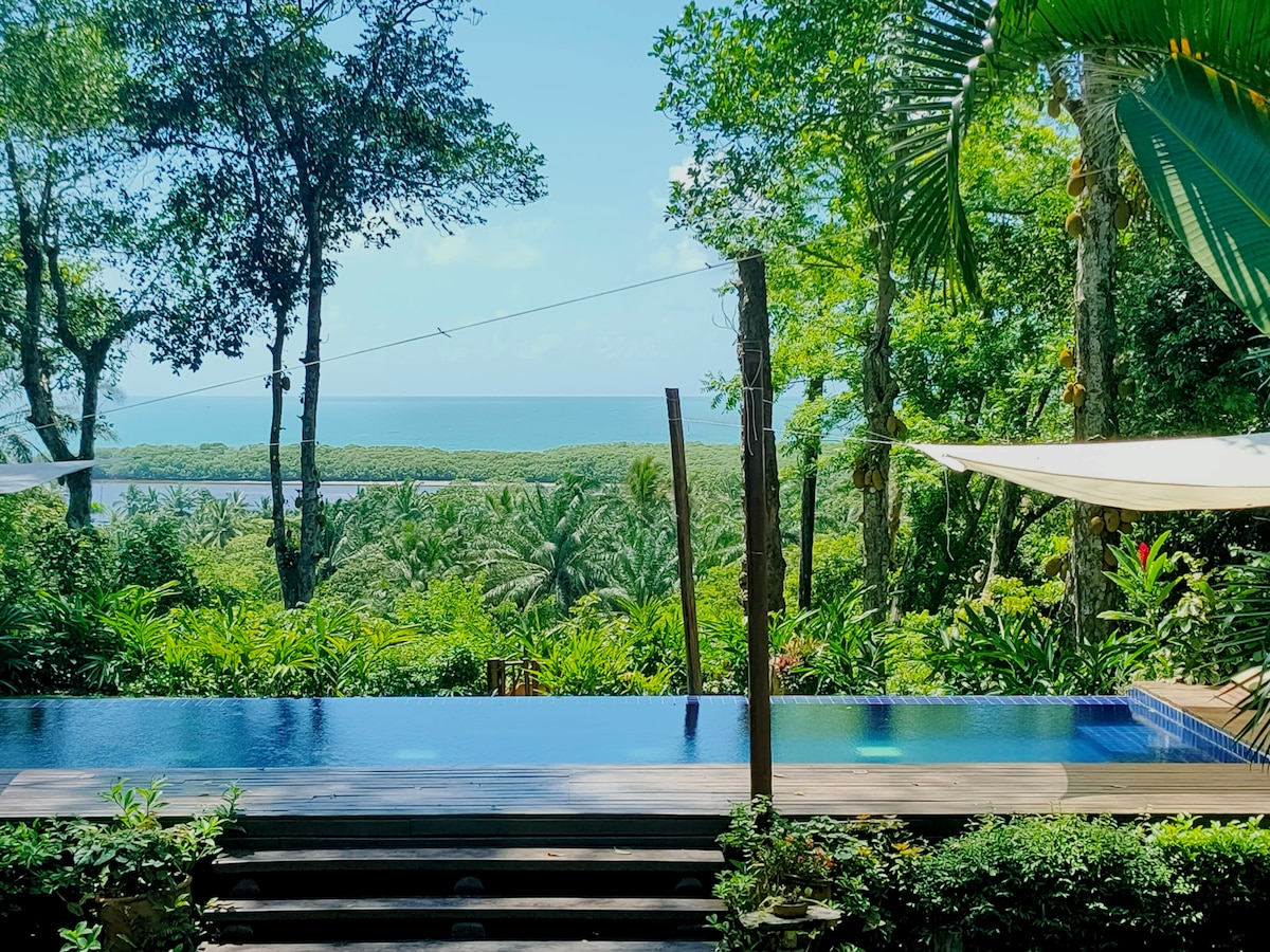 An infinity pool appears to merge with the lush landscape, framed by tropical greenery. The calm waters reflect the clear sky above, while distant views of the ocean and river enhance the scene. Sunlight streams through the surrounding trees, creating a serene atmosphere.