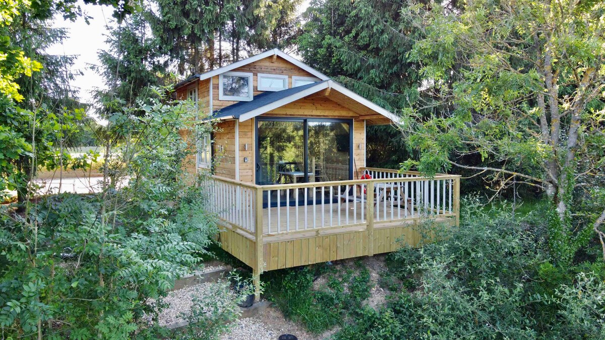 A wooden lodge is set among tall trees, featuring a spacious balcony with railing. Large glass doors provide views of the surrounding greenery, allowing natural light to fill the interior. The elevated position enhances the sense of privacy and connection to nature.