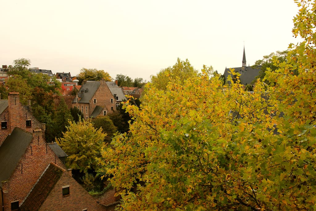 A supernice view on the big, beautiful beguinage of Leuven