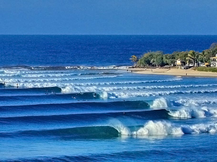 Snapper rocks