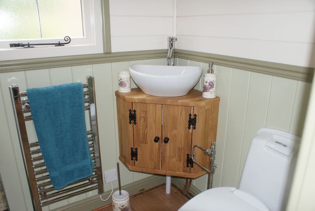 Toilet and full size shower