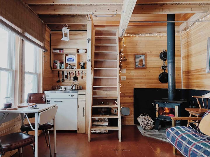 Top 10 PetFriendly In Nova Scotia, Canada Updated