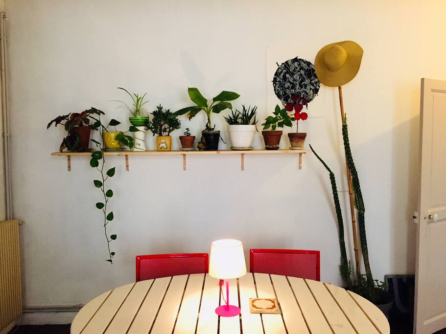 salon - salle à manger