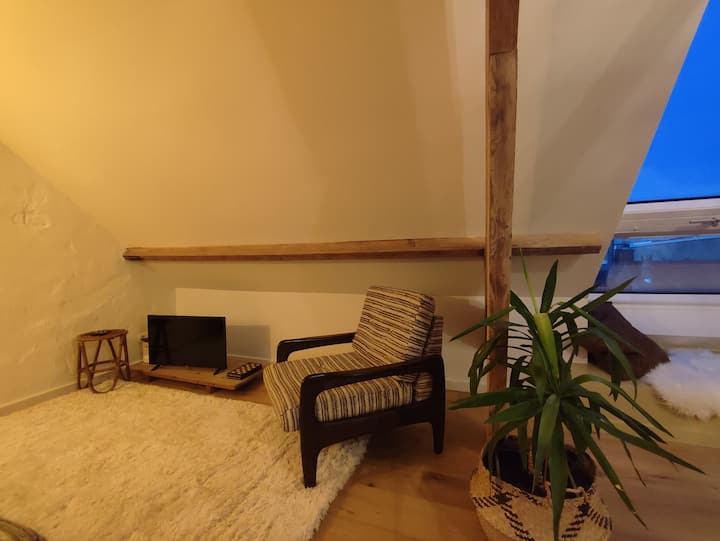 غرفة المعيشة