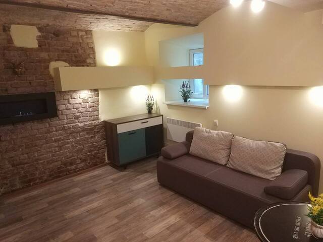 Cozy studio Apartment