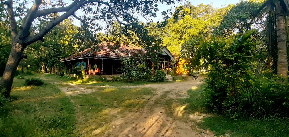 Airbnb Anamaduwa Vacation Rentals Places To Stay North