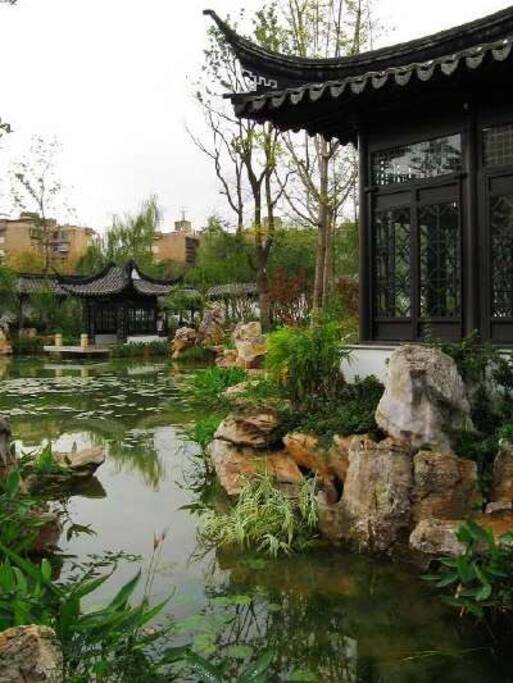莲花池公园