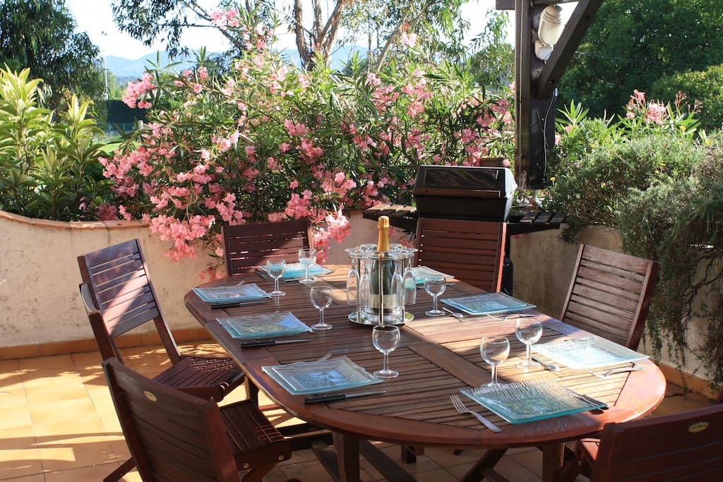 grande terrasse ombragée dominant le jardin