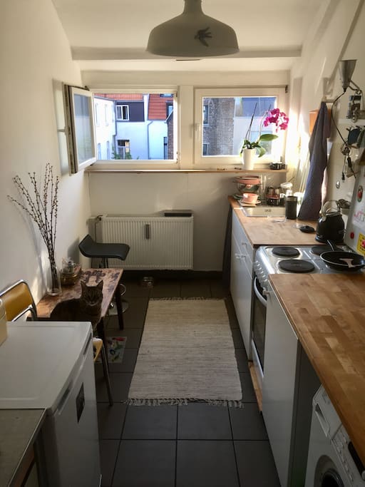 Die Küche: Waschmaschine, Wasserkocher, Kühlschrank und was zum Kochen notwendig ist. (Ohne Kater!)