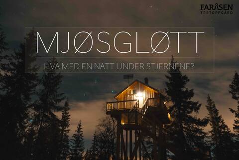 Mjøsgløtt -Unik treehouse - Faråsen Tretoppgård