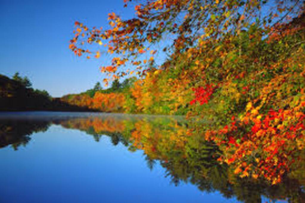 fall foliage is the best here in Maine