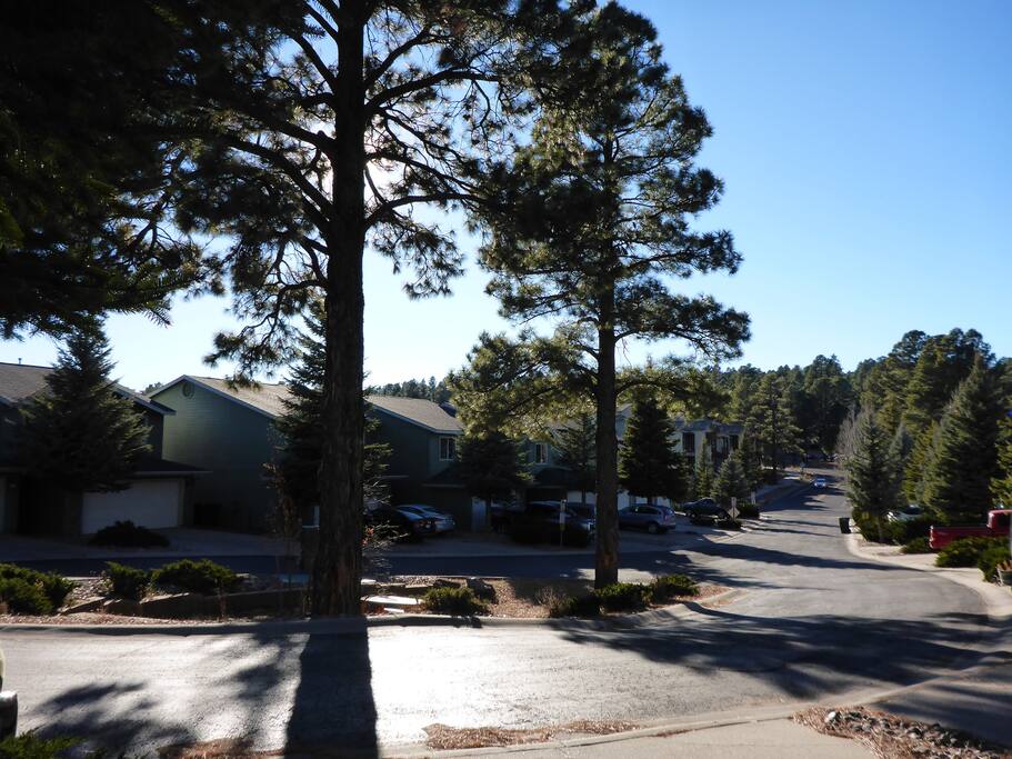 The hood