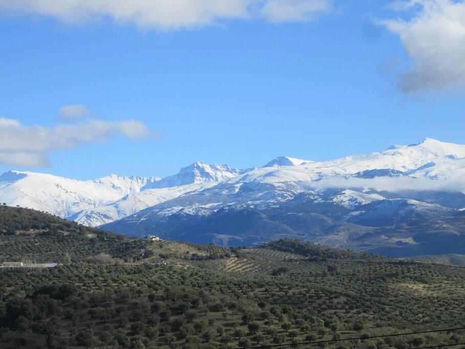 The view in winter