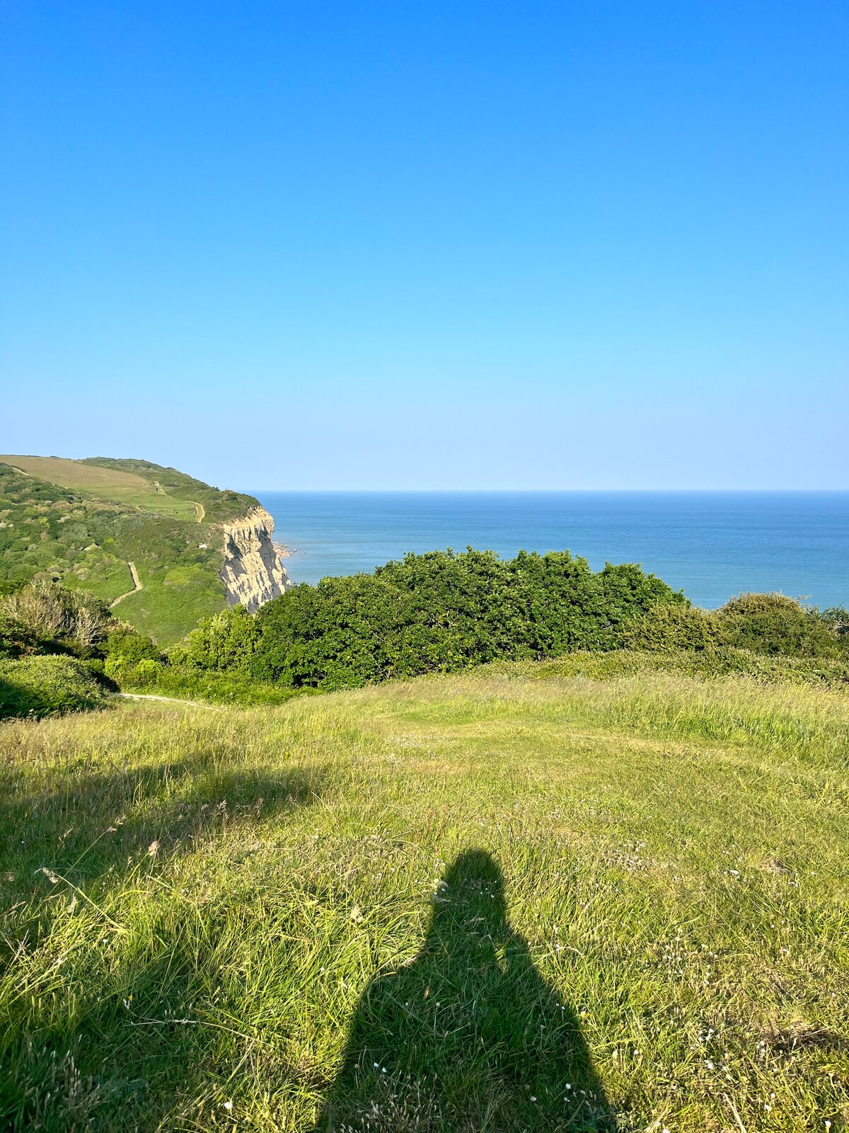 A vast expanse of grassland extends towards a cliffside overlooking the tranquil sea. The clear blue sky complements the serene landscape, with greenery forming a natural border around the horizon. A shadow is cast on the grass, adding depth to the scene.
