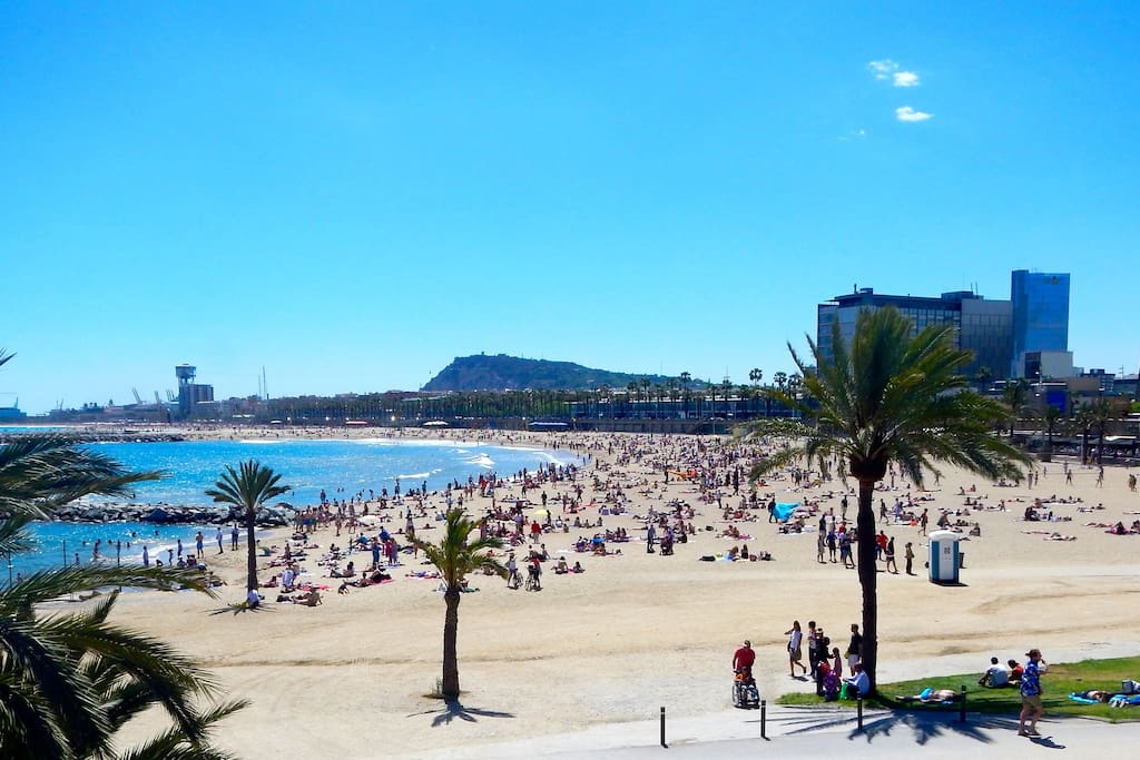 Apartments To Rent In Barcelona Near Beach Apartments To Rent In Barcelona Near Beach