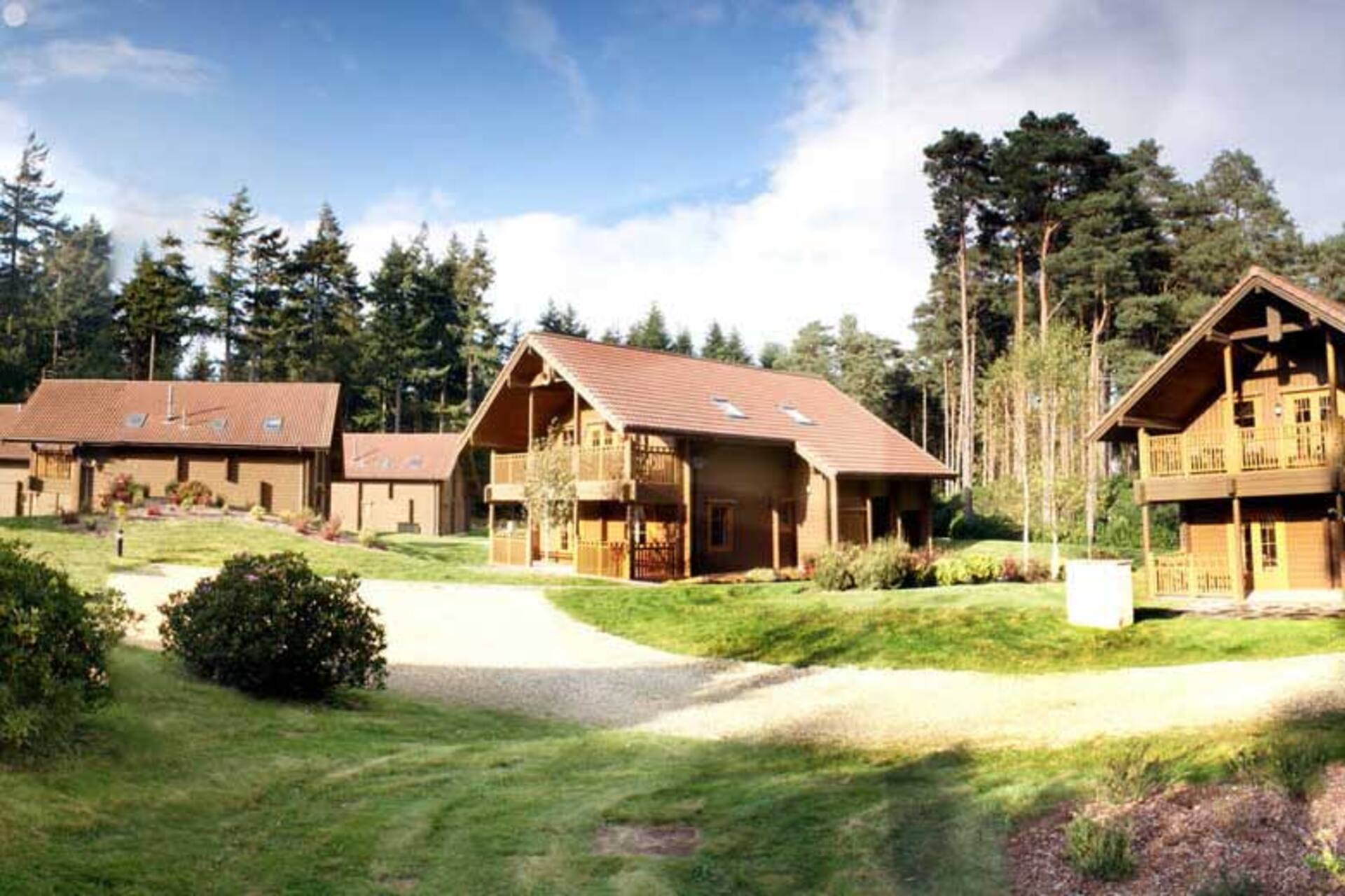 The Dorset Resort — foto 3
