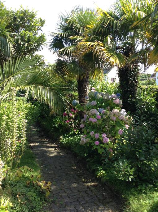 jardin tropical