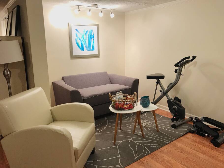 Single size sofa bed for an extra guest who is under 100lbs