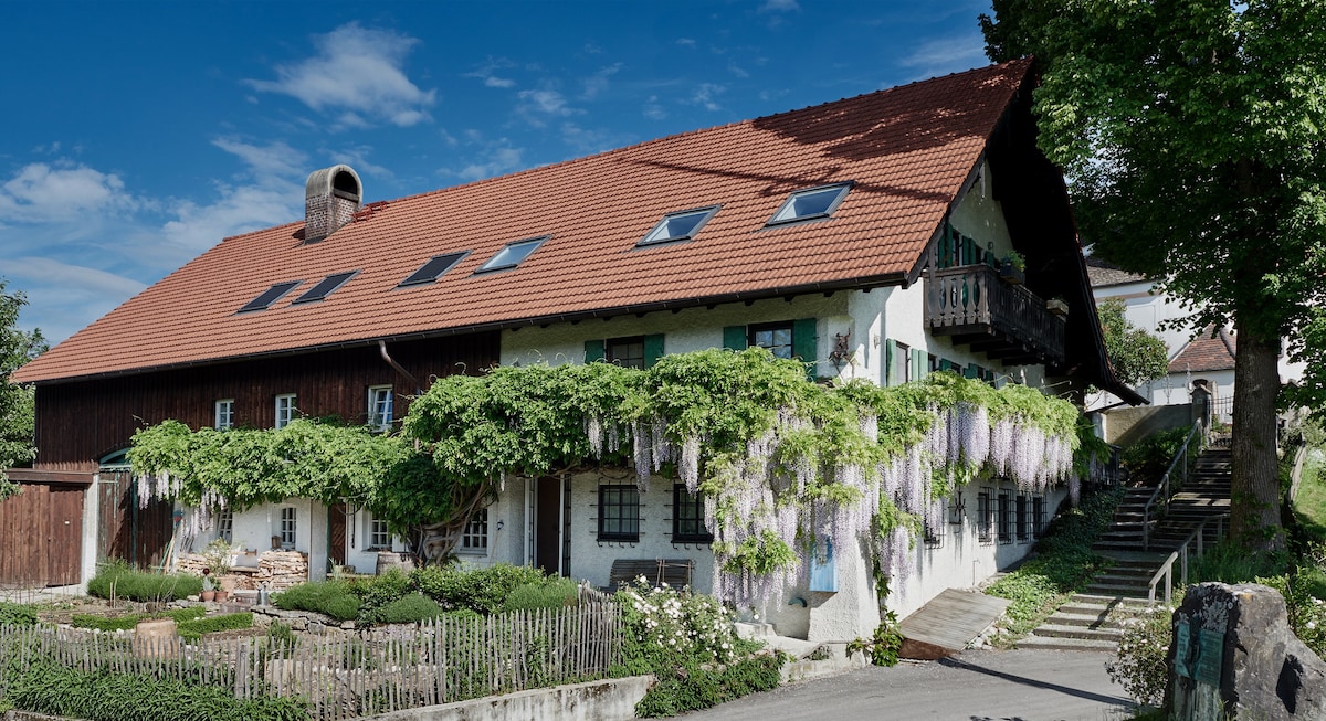 A charming multi-story building features a steeply pitched red roof with skylights and expansive green foliage cascading down the walls. A pathway leads to a well-maintained garden area with a wooden fence, framed by blooming plants and trees under a clear blue sky.