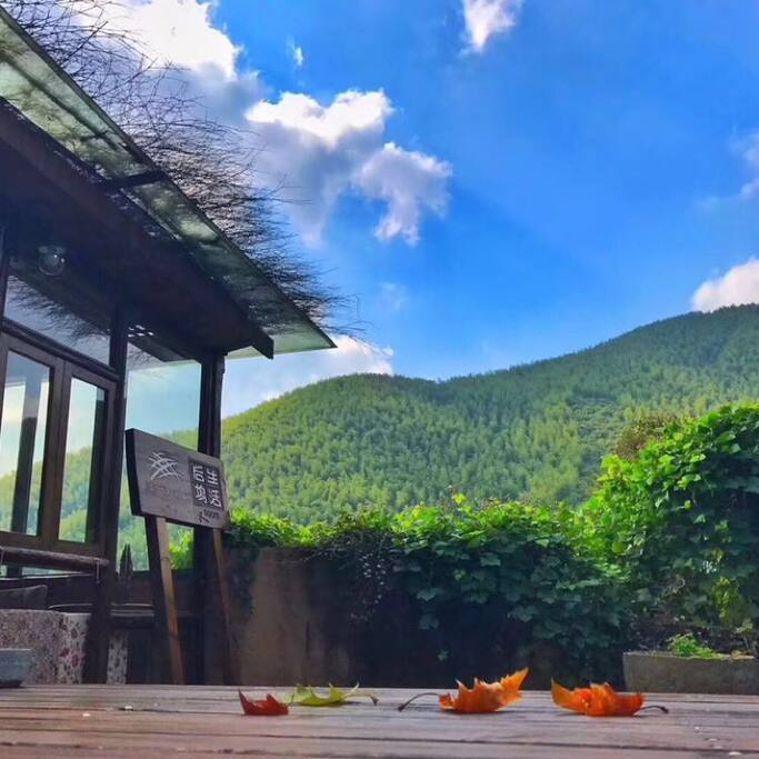 总接待处门口风景