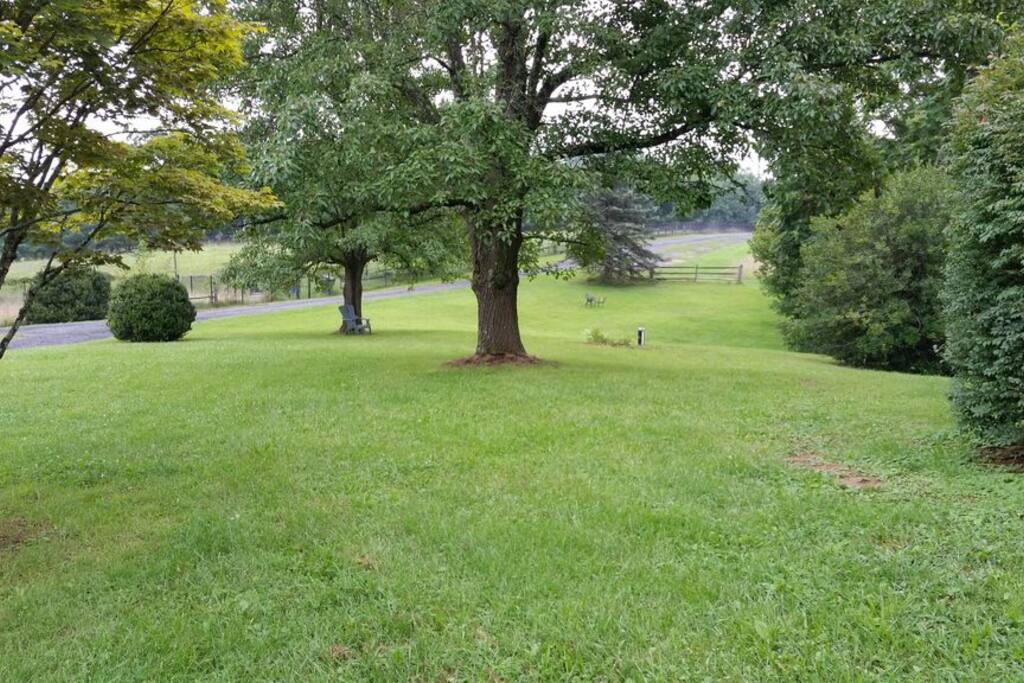 FRONT LAWN