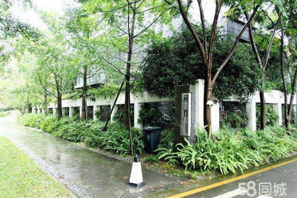 我的家在小区的“问竹”院落